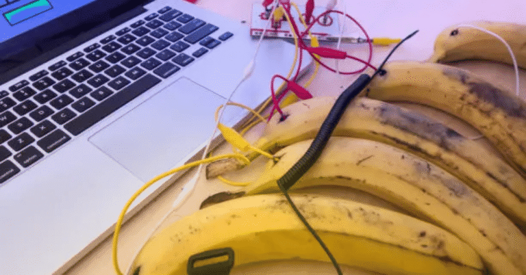 Lab-Banana.com Business