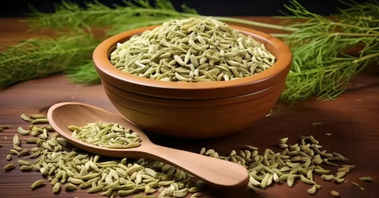 Fennel Seeds