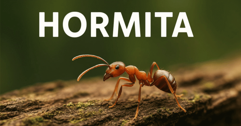 hormita