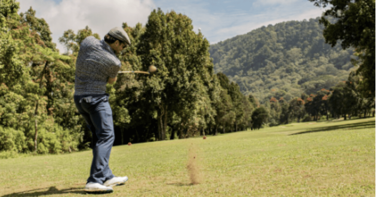 harvest hill golf