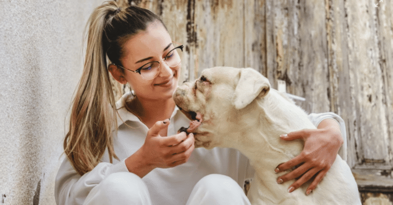 compagnon-canin.fr