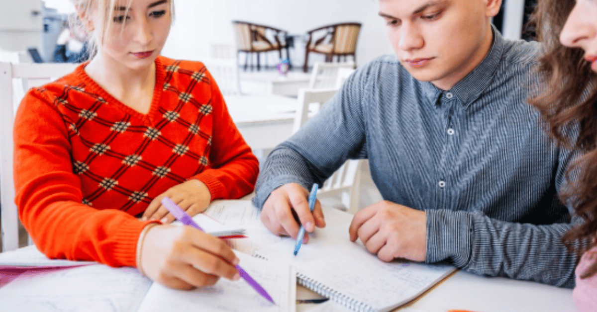 zealstudy lesson plan