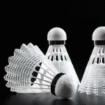 shuttlecock