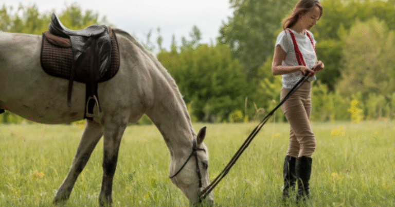 riding crop