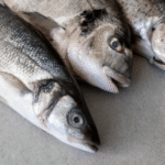 big seer fish
