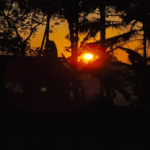 Sunrise on the Reaping