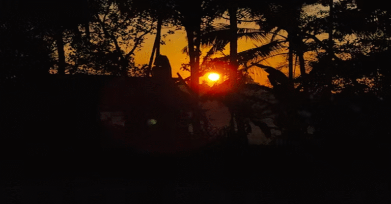 Sunrise on the Reaping