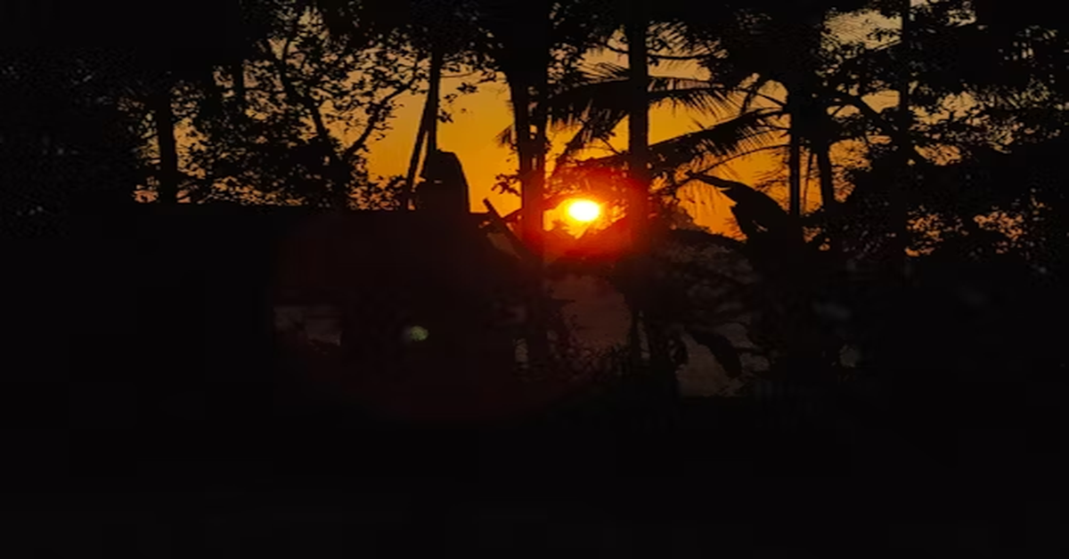 Sunrise on the Reaping